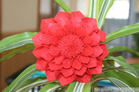 ����� ������� ������ ������ �� �����