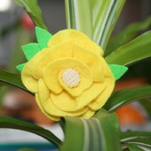 ����� ����