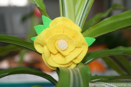 ����� ���� ������ ������ �� �����