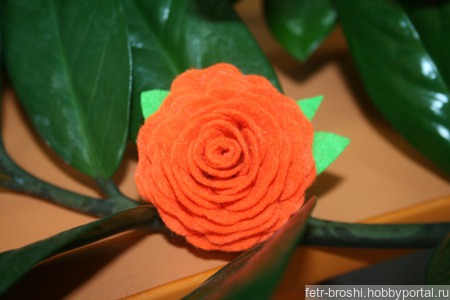 ����� ���� ������ ������ �� �����