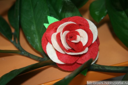 ����� ���� ������ ������ �� �����