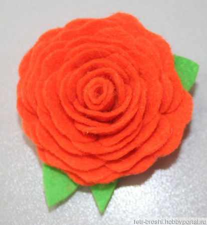 ����� ���� ������ ������ �� �����