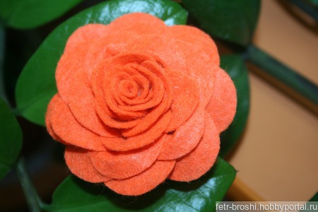 ����� ���� ������ ������ �� �����