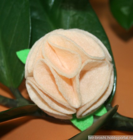 ����� ������ ������ ������ �� �����