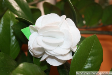 ����� ������ ������ �� �����