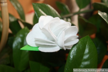 ����� ������ ������ �� �����