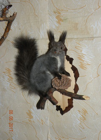 ������ ����� ������ ������ �� �����