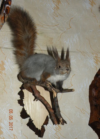 ������ ����� ������ ������ �� �����