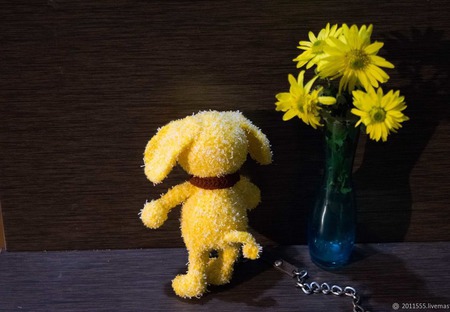 ������� ������� ���� ������ ������ �� �����