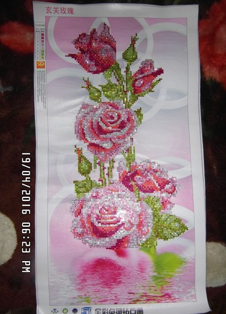 ���� ������ ������ �� �����