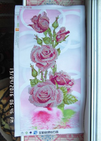 ���� ������ ������ �� �����