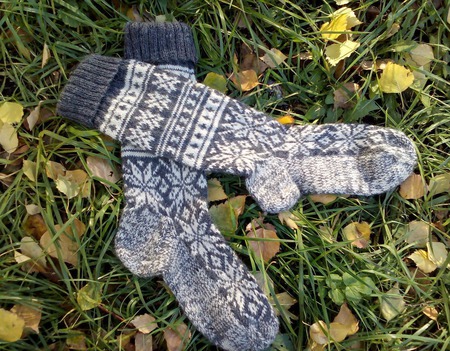 ������ �������� ��������� � ���������� ������ ������ ������ �� �����