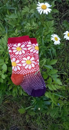 ����� � ��������� ������ ������ �� �����