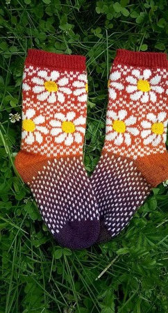 ����� � ��������� ������ ������ �� �����