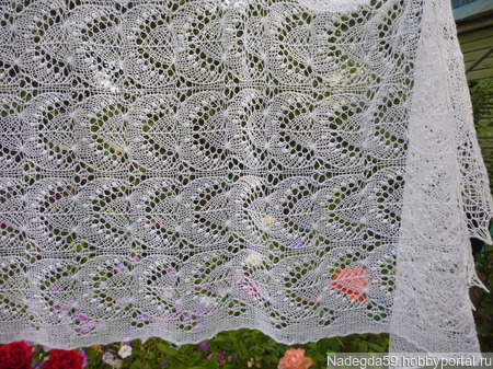 ������� ���� �������� ������� ������ ������ �� �����