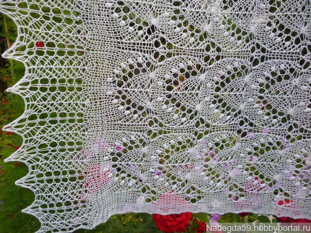 ������� ���� �������� ������� ������ ������ �� �����