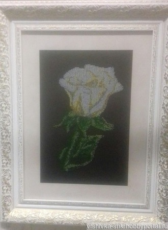 ����� ���� ������ ������ �� �����