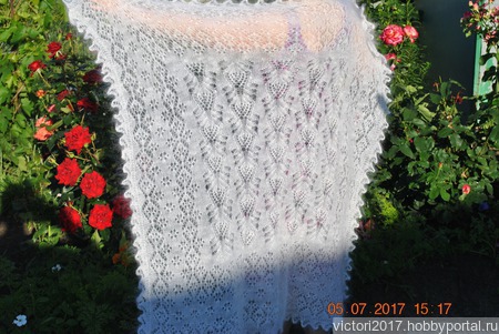 ������� ������� ���� �� ������ ���� ������ ������ �� �����