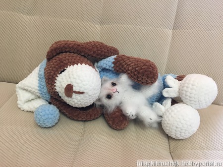 ������� ���� ������ ������ �� �����