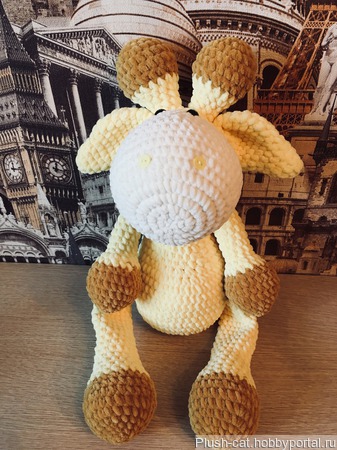 ������� ������ ������ �� �����