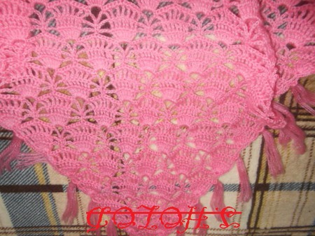 ���� ������ ������ �� �����