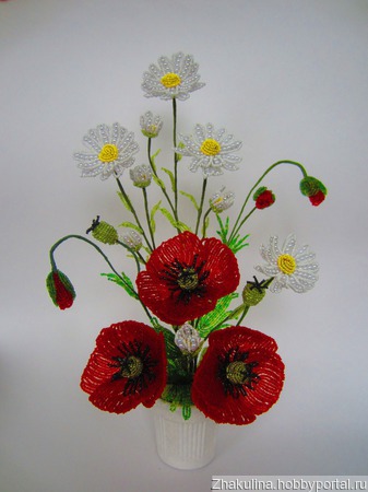 ��������� ���������� "���� � �������" ������ ������ �� �����