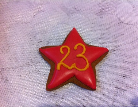 ������� ��������� 23 ������� ������ ������ �� �����