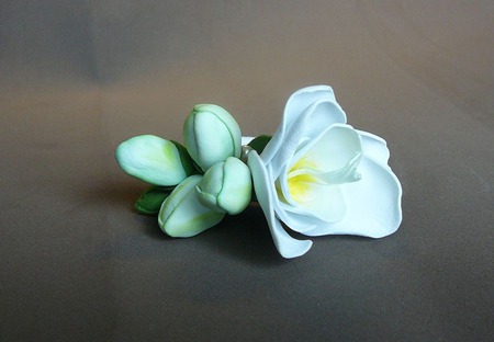 ��������� ��� ����� ��������� ������ ������ �� �����