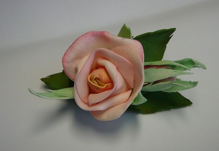 ��������� ��� ����� ��������� ������ ������ �� �����