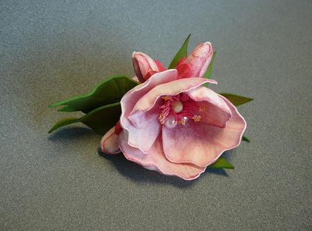 ��������� ��� ����� ��������� ������ ������ �� �����