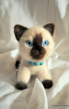 ������� ����� ���� ������ ������ �� �����