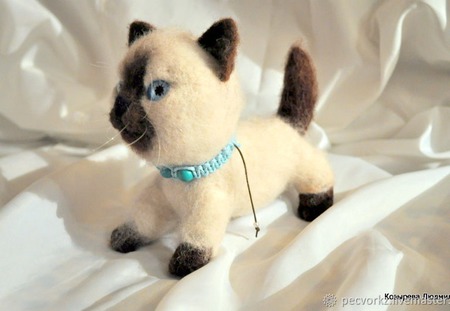 ������� ����� ���� ������ ������ �� �����