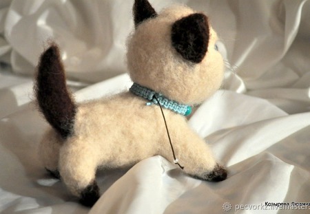 ������� ����� ���� ������ ������ �� �����