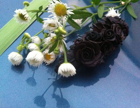 ������� ��� ����� ������ ���� ������ ������ �� �����