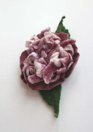 ����� ������� "����������" ������ ������ �� �����