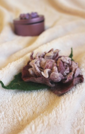 ����� ������� "����������" ������ ������ �� �����