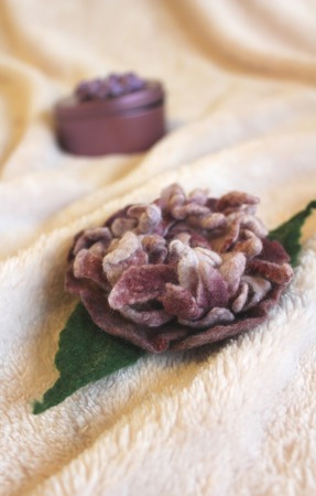 ����� ������� "����������" ������ ������ �� �����