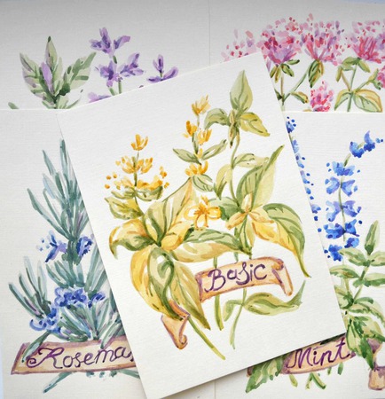 Картины акварелью "Прованские травы" ручной работы на заказ