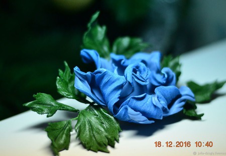 ����� �� ����. ���� ��������� "�������" ������ ������ �� �����