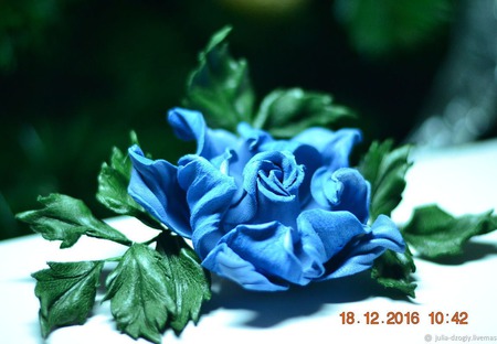 ����� �� ����. ���� ��������� "�������" ������ ������ �� �����