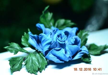 ����� �� ����. ���� ��������� "�������" ������ ������ �� �����