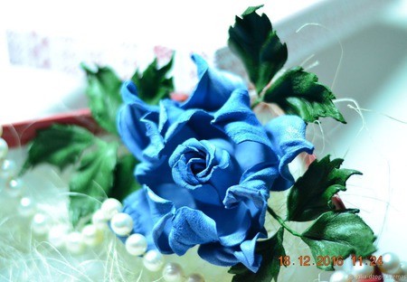 ����� �� ����. ���� ��������� "�������" ������ ������ �� �����