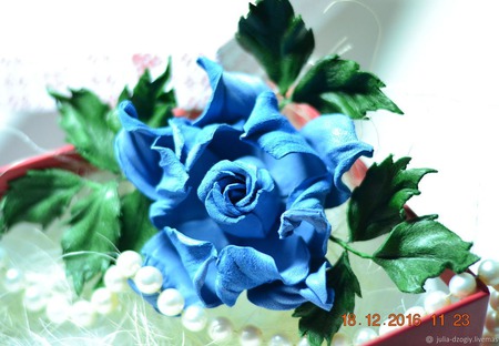 ����� �� ����. ���� ��������� "�������" ������ ������ �� �����