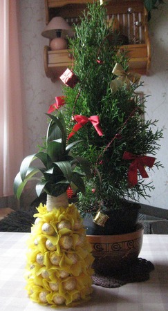 ������ �� ������ ������ ������ �� �����