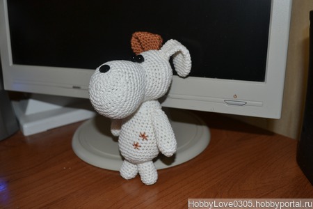 ������� ���� ������ ������ �� �����