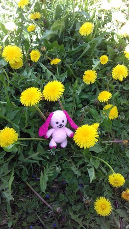 C������ ������ ������ �� �����