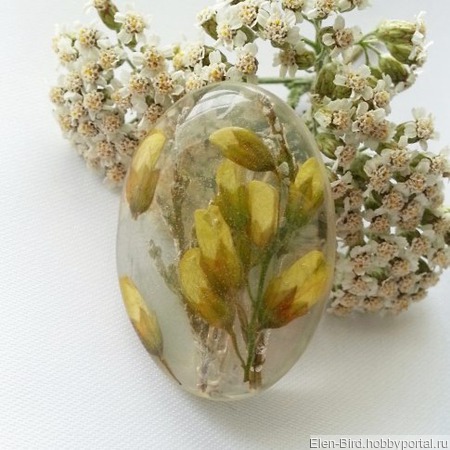 ����� "������" ������ ������ �� �����