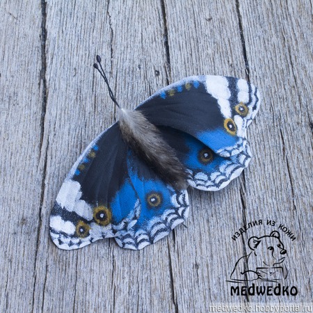 ����� �� ���� ������� Blue Pansy-4 ������ ������ �� �����