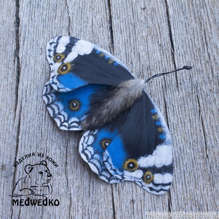 ����� �� ���� ������� Blue Pansy-4 ������ ������ �� �����
