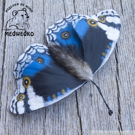 ����� �� ���� ������� Blue Pansy-4 ������ ������ �� �����